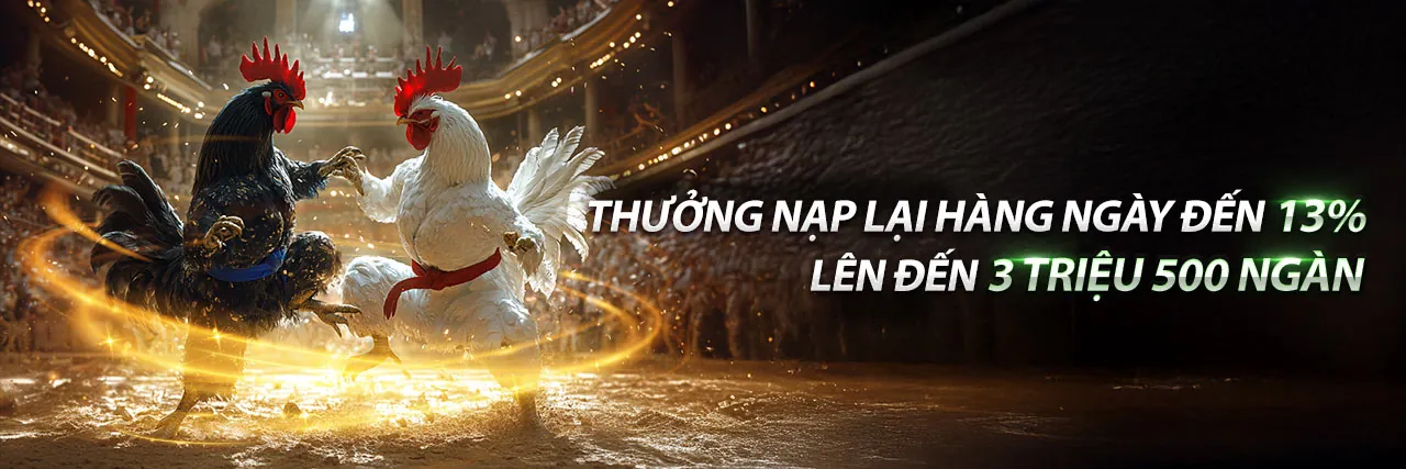 Hình ảnh chính về các ưu đãi mới nhất của Bubetkyc